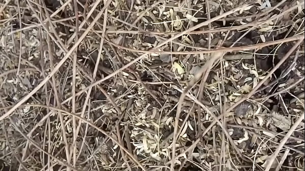 Indian Couple Outdoor Sex In A Jungle Deep Forest