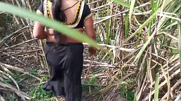 Desi step aunty outdoor sex ganne ki khet me chudai