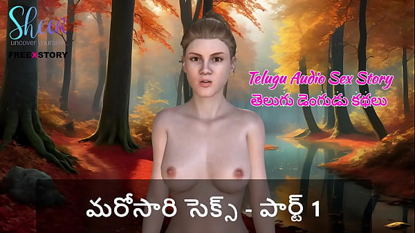 Telugu Audio Sex Story – Sex once again – Part 1